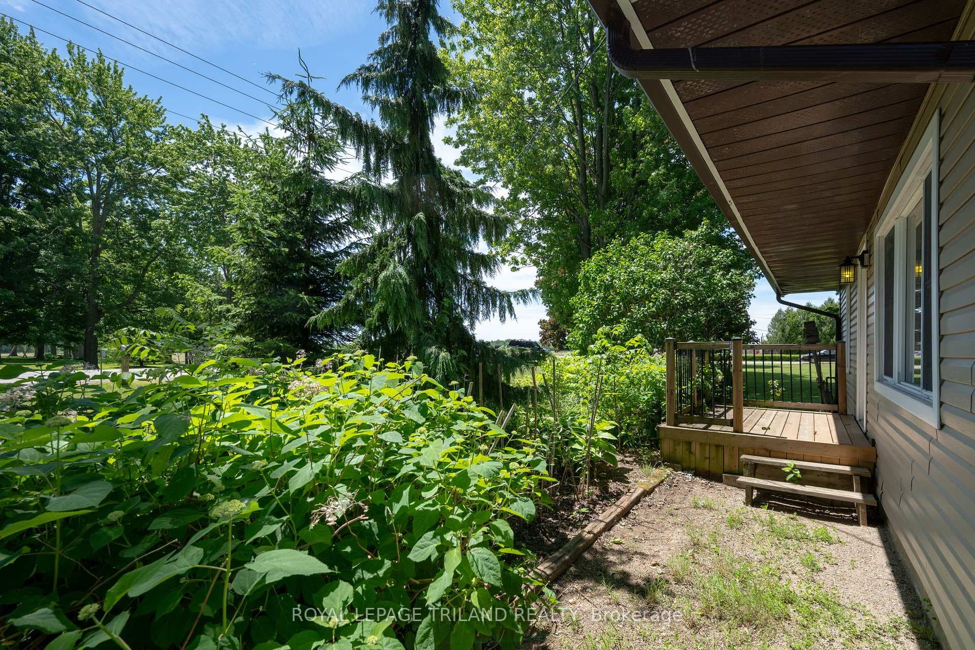 22516 Pioneer Line photo 28