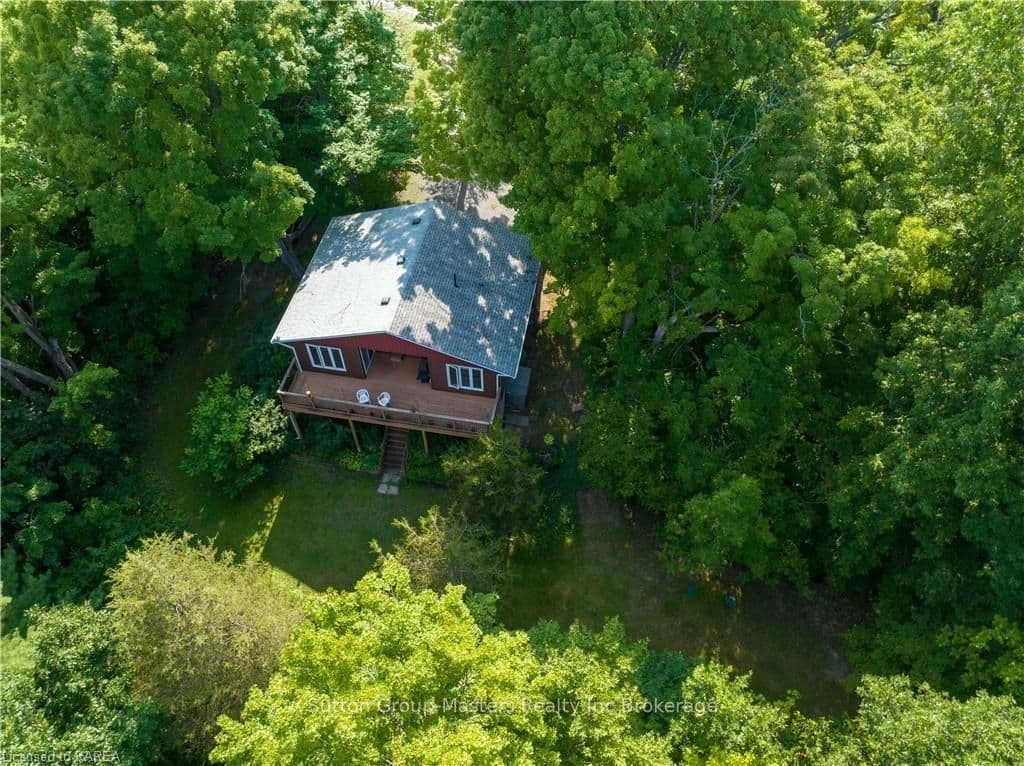 Privacy among the trees