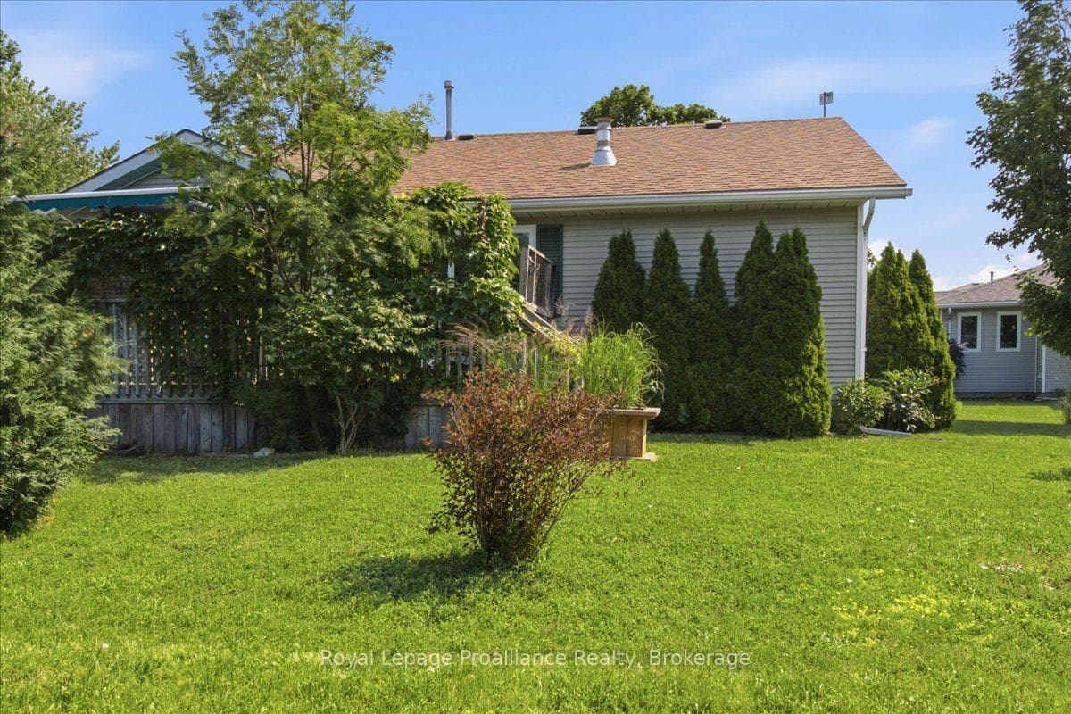 Large backyard