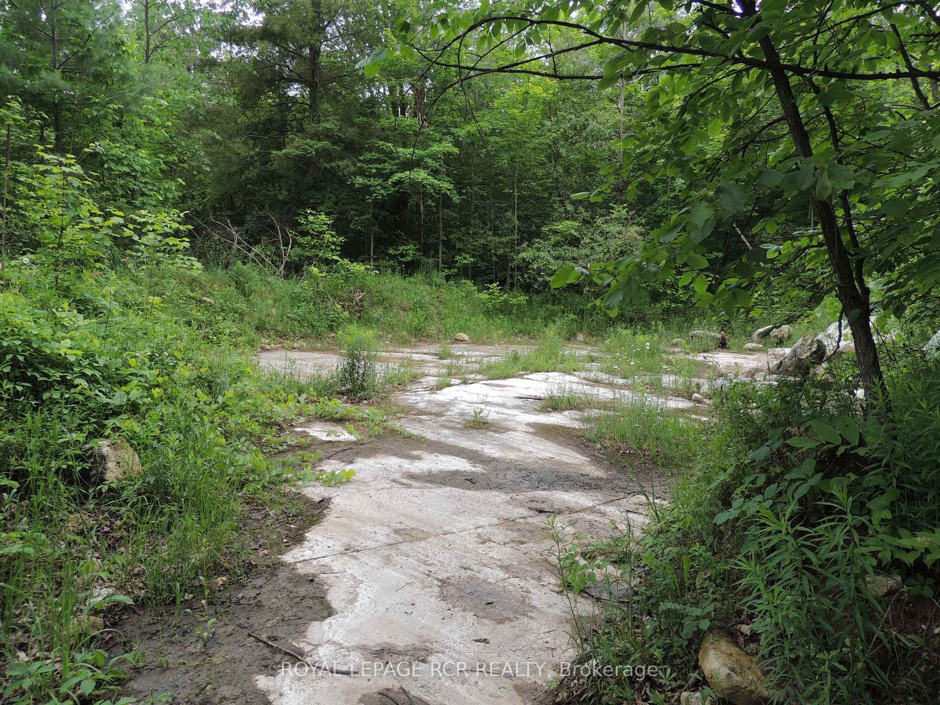 136249 Grey Road 40 Road photo 23