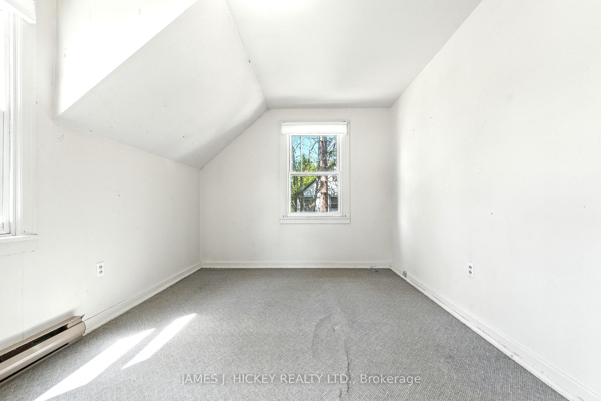 19 Alder Crescent photo 18