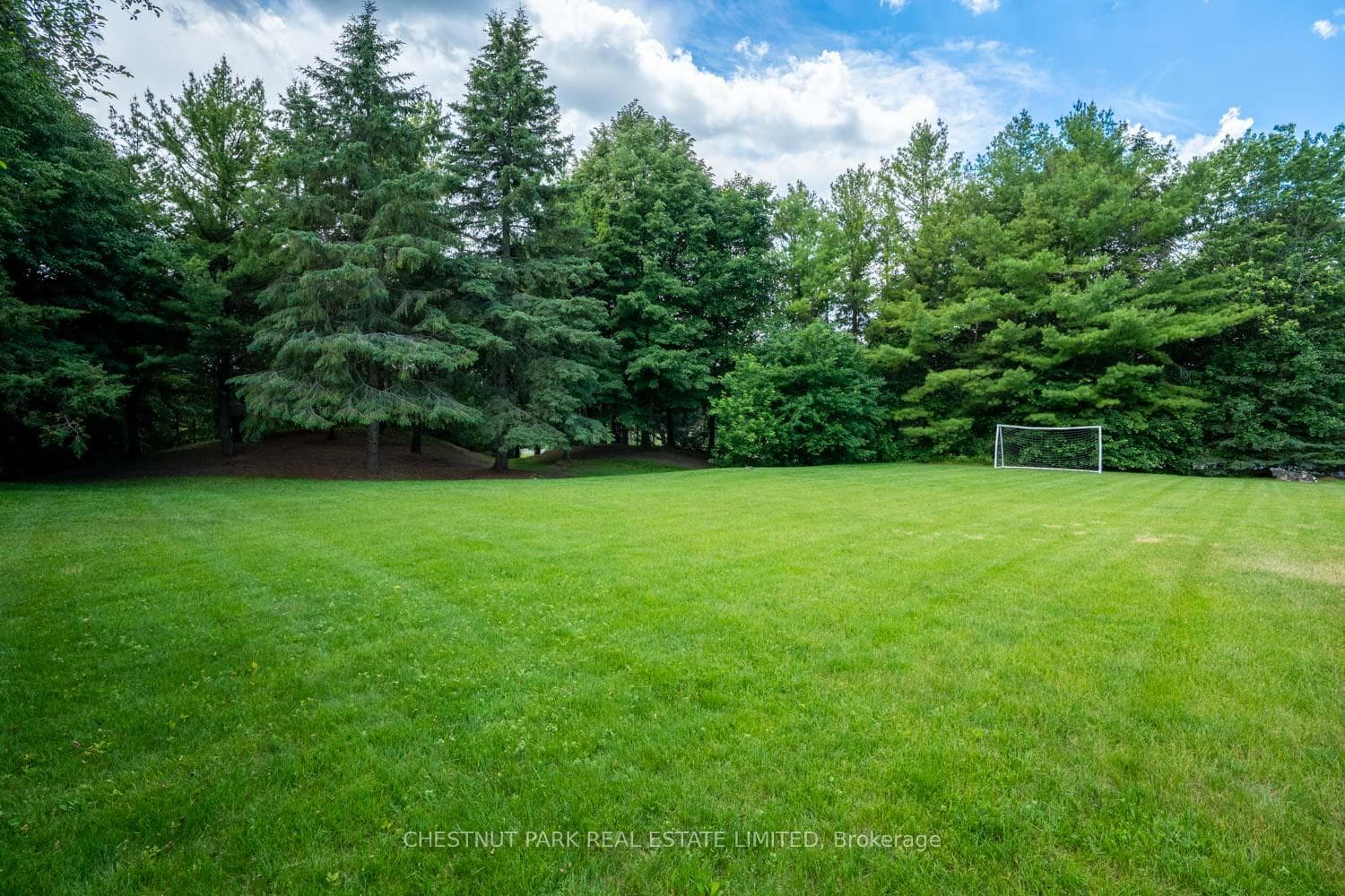 15175 Keele Street photo 29
