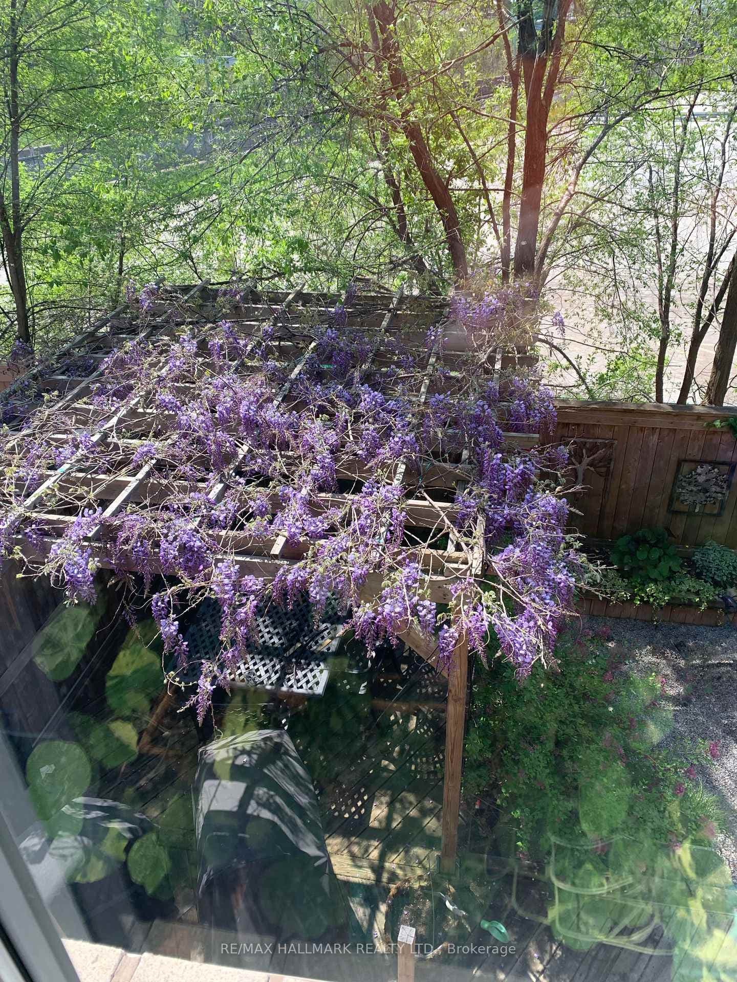 9 Pethick Street photo 38