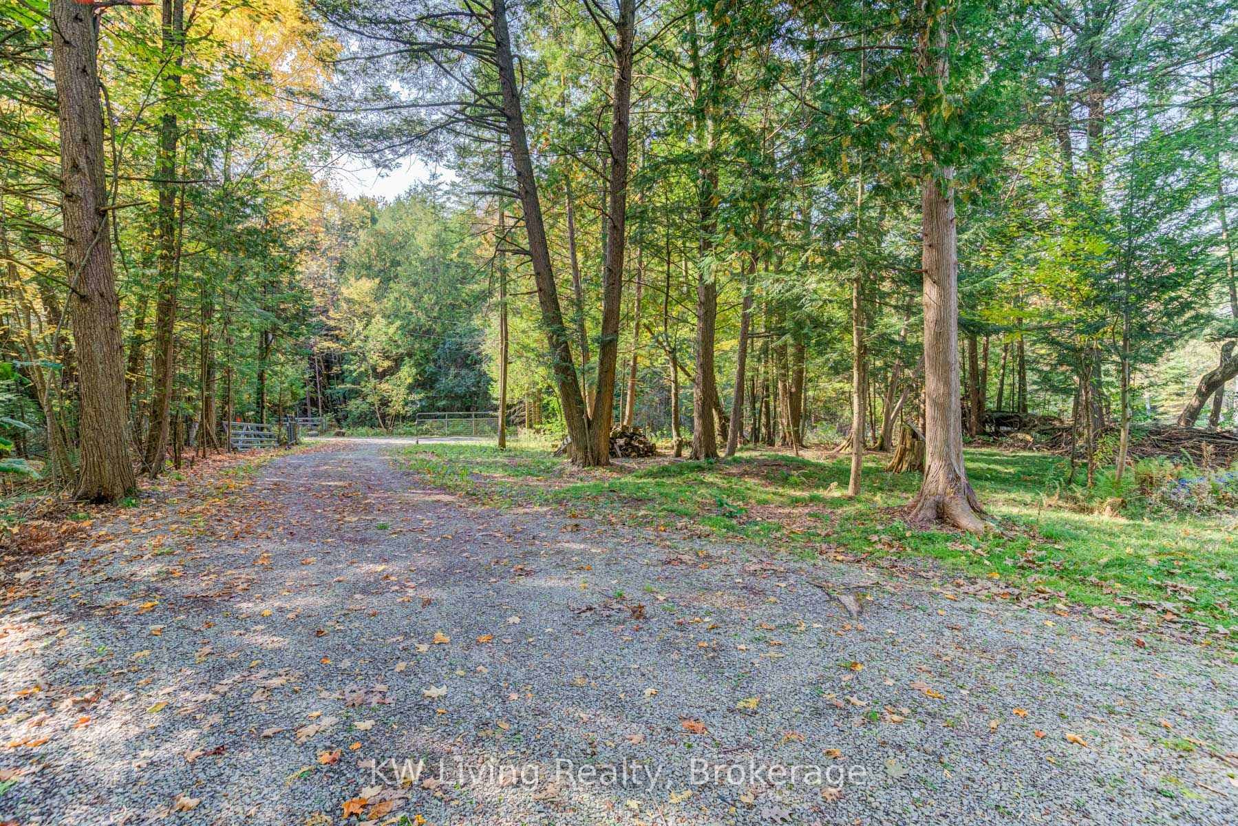6 Cardinal Drive photo 5