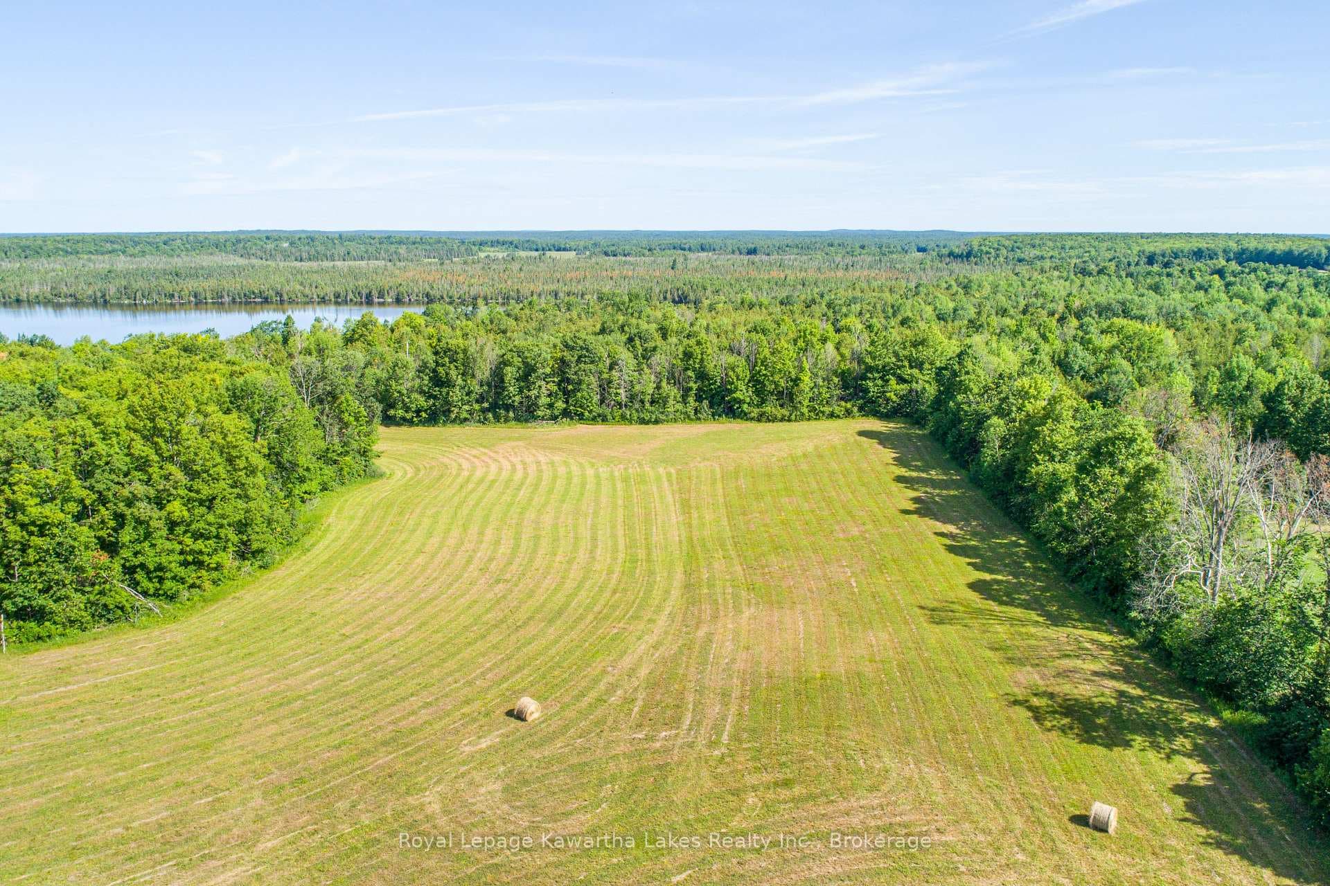 164 Sugar Bush Road photo 16