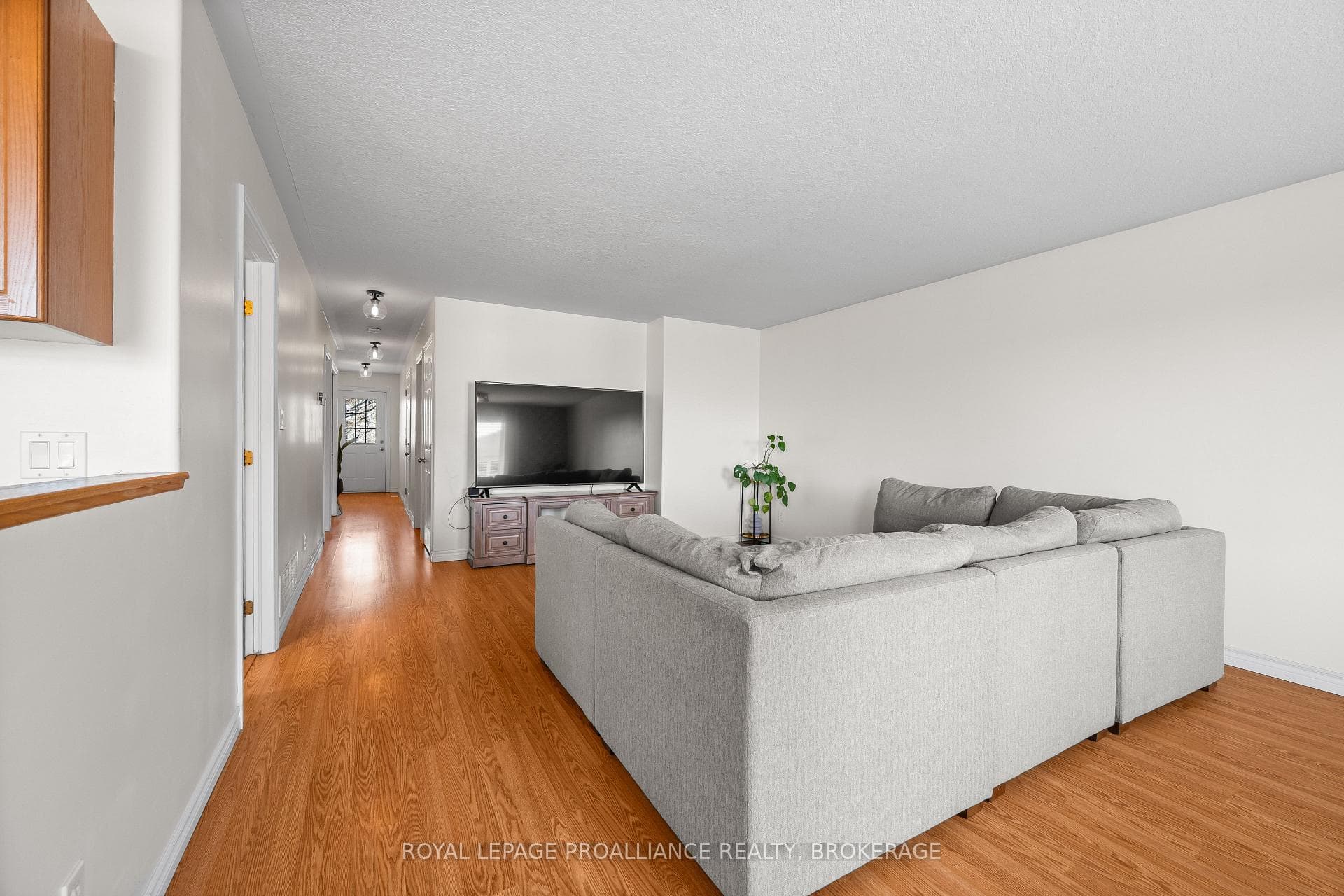51 Wiley Street photo 14