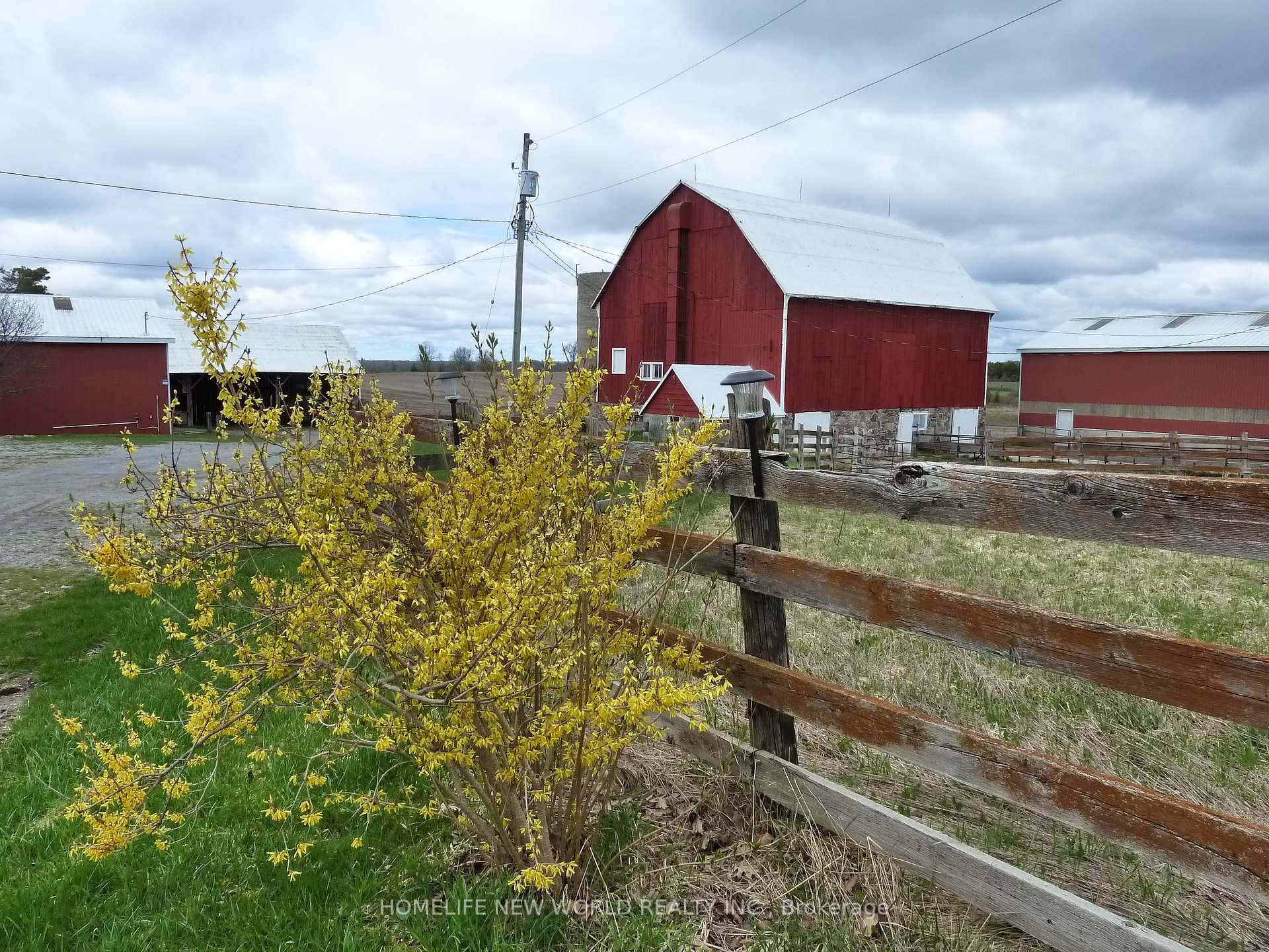 23702 Kennedy Road photo 2