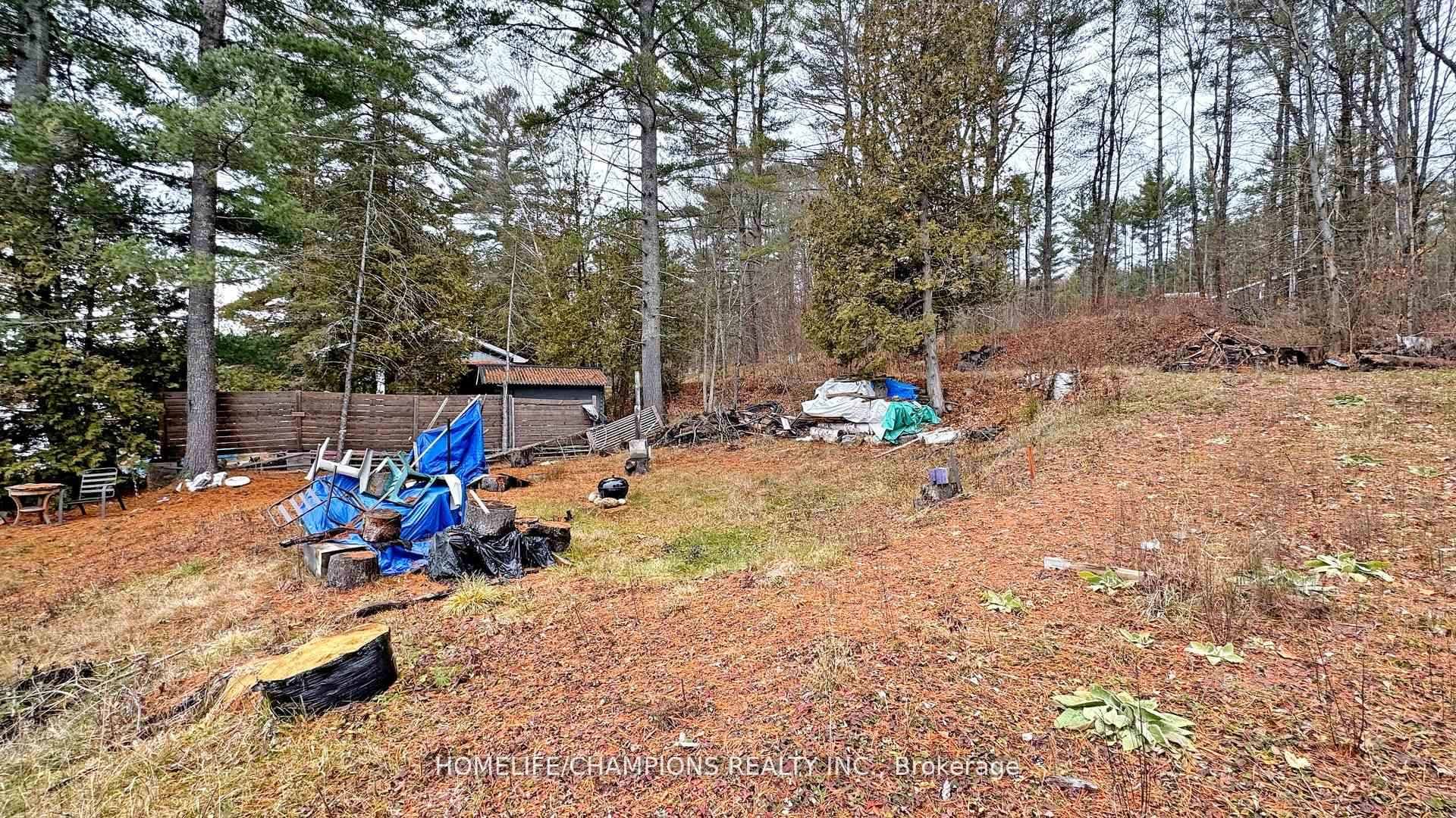 1038 Pike Lane photo 2
