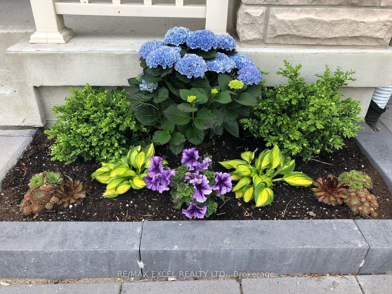 78 Terry Fox Street photo 38