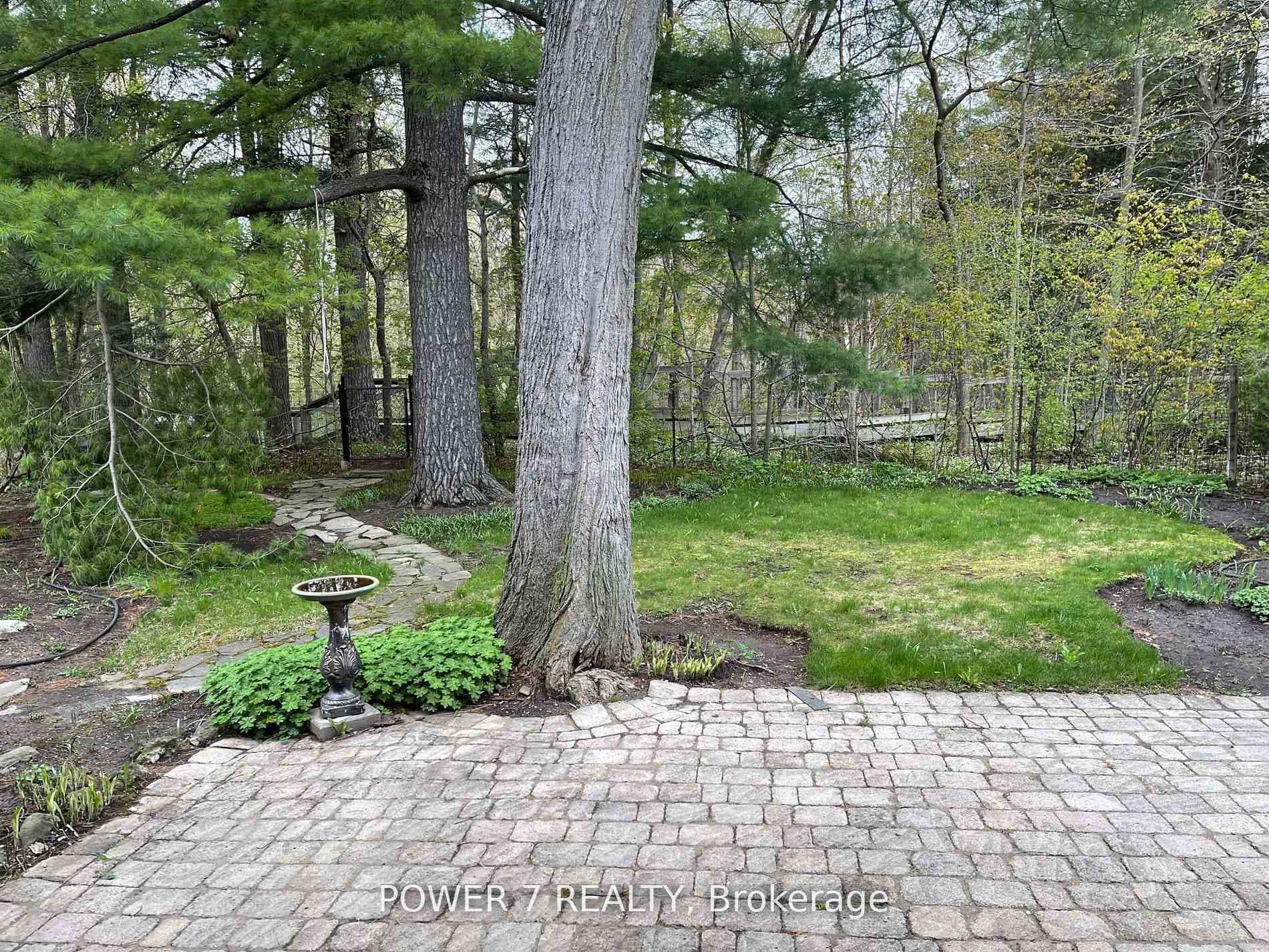 7 Banfield Avenue photo 16