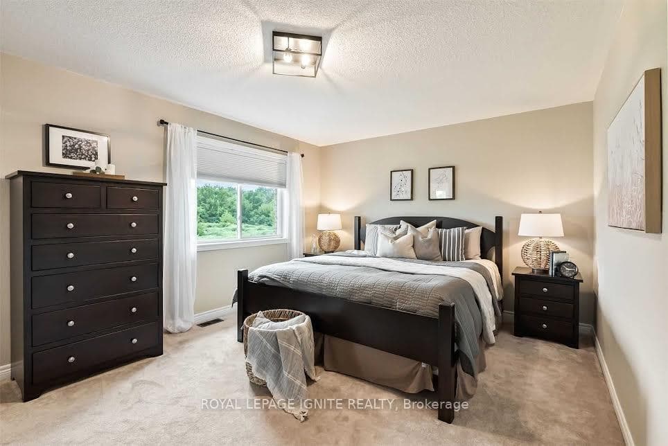 54 Albert Street photo 15