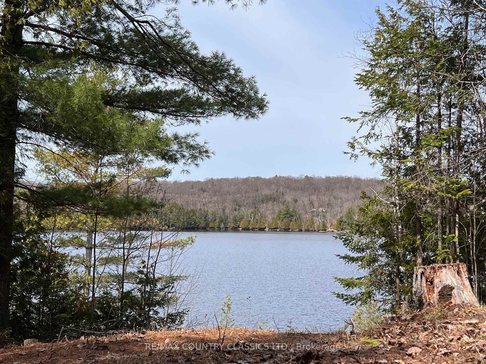 1322A Weslemkoon Lake Road photo 44
