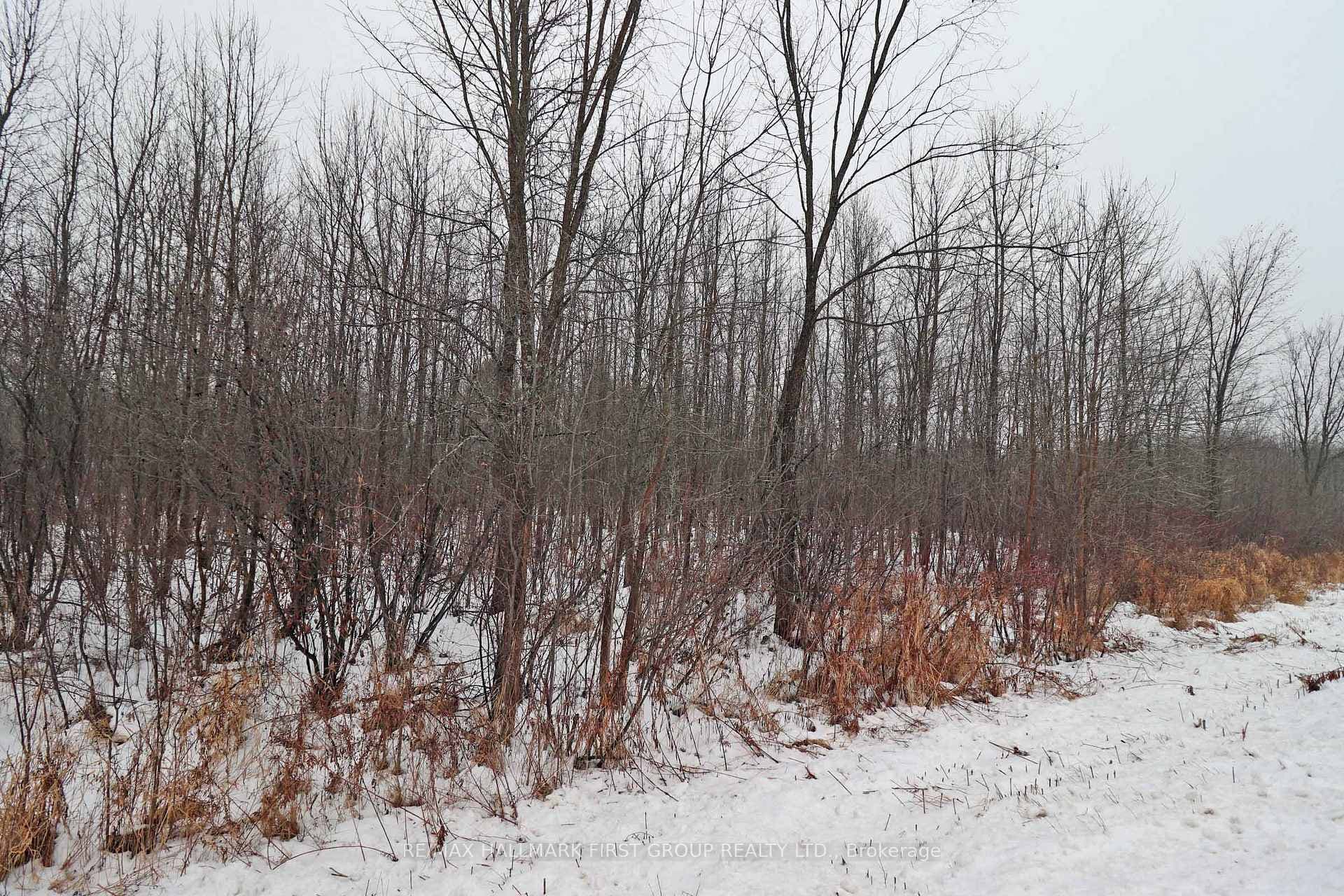 1481 Sulphide Road photo 11