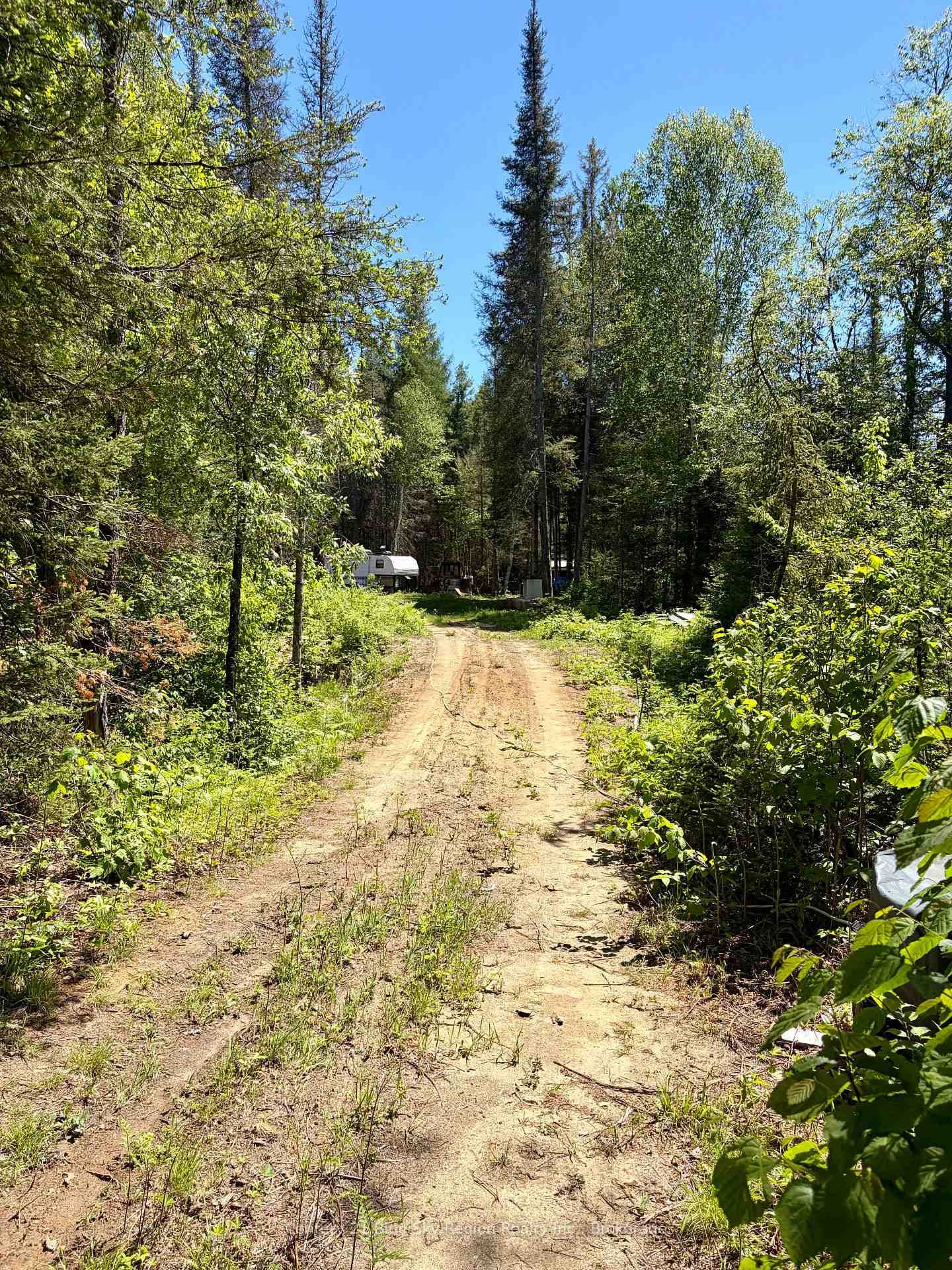 324 Proudfoot Road photo 9