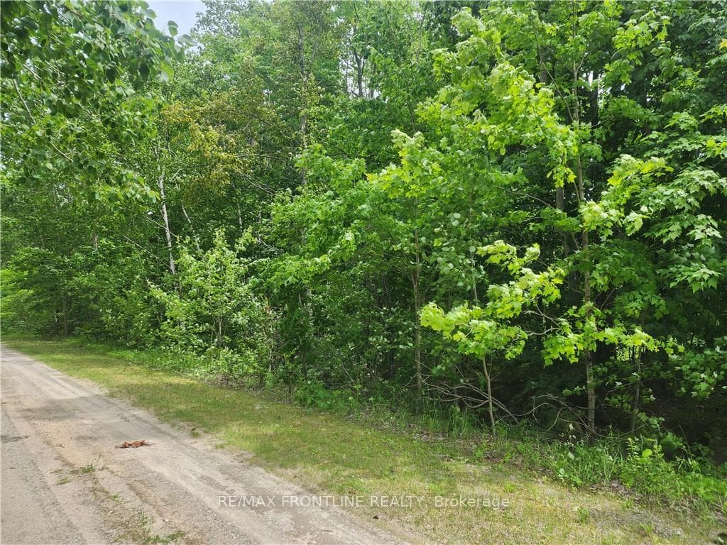 160 RED PINE Road photo 2