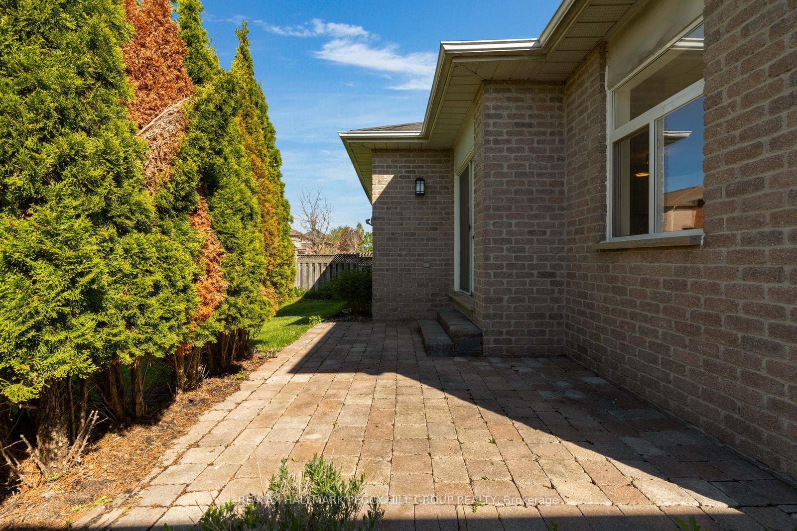 186 Golden Meadow Road photo 16