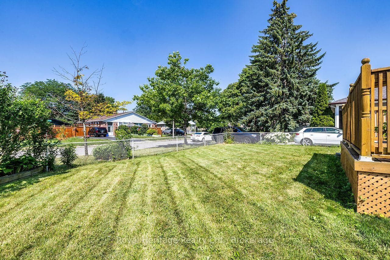 Large Yard