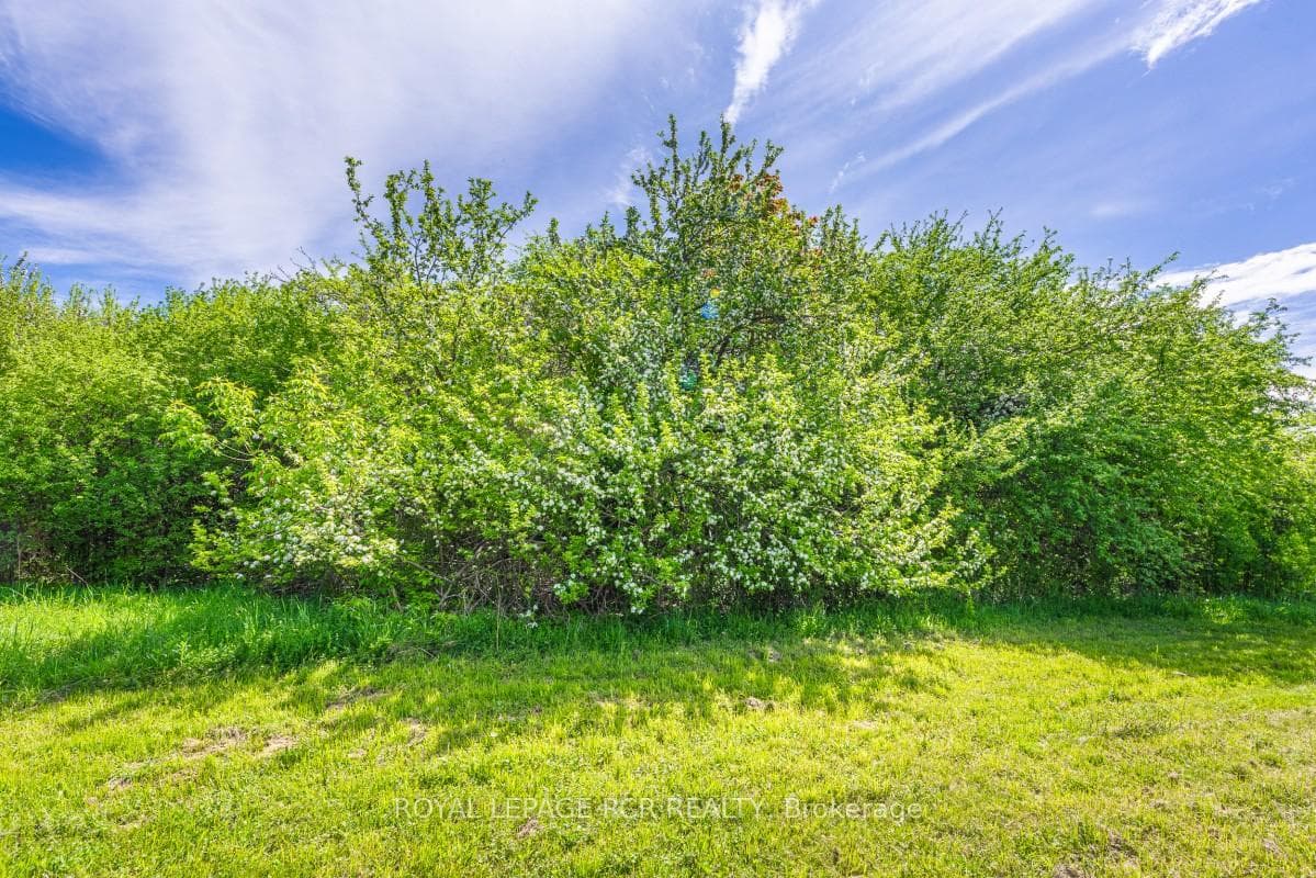 2872 Sunset Drive photo 5