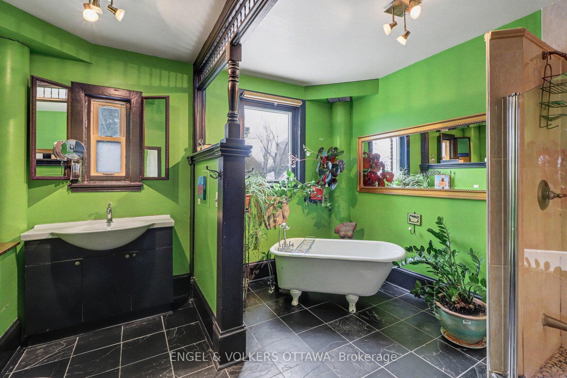 88 Pinhey Street photo 20