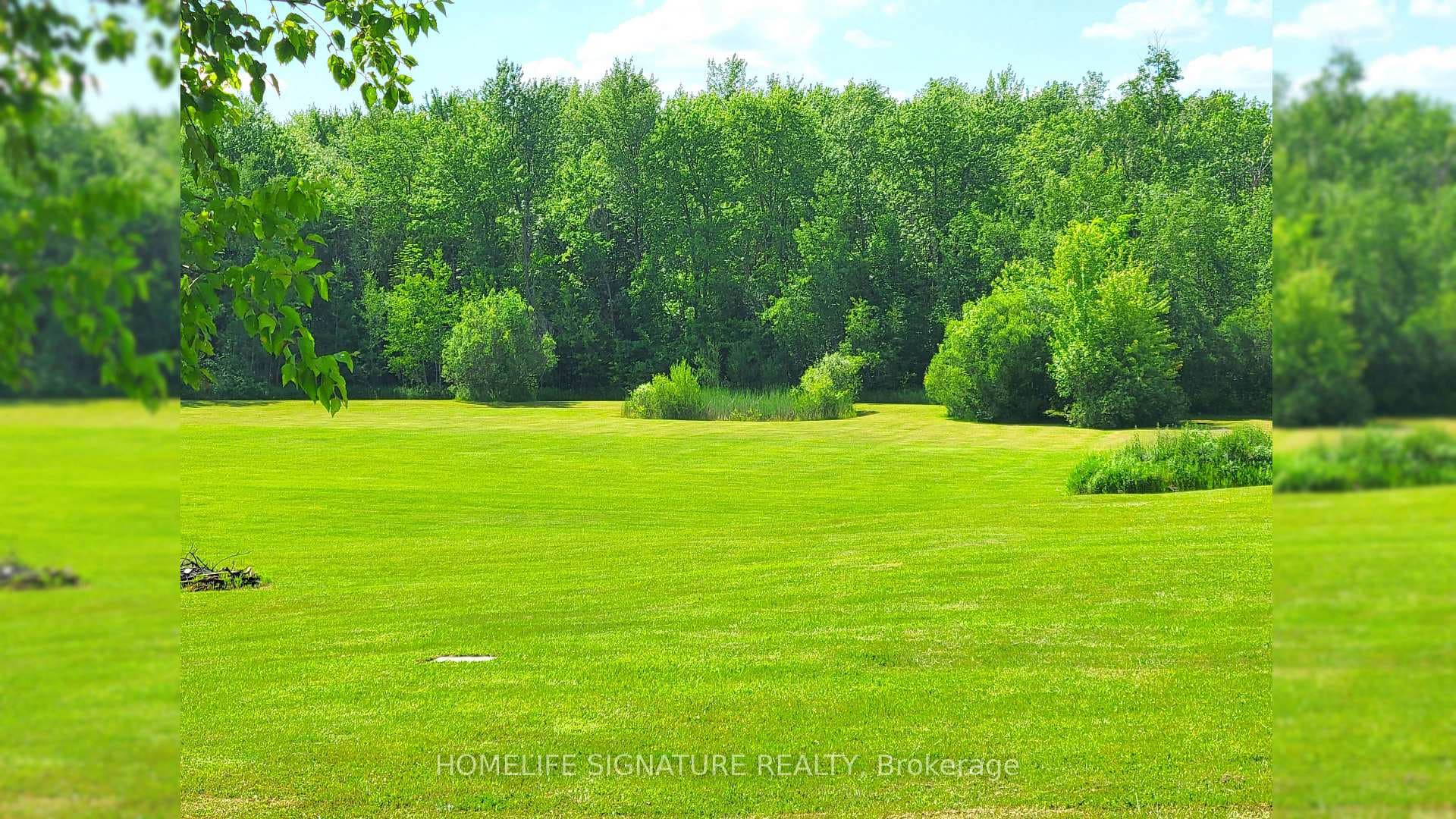5273 25 Side Road photo 40