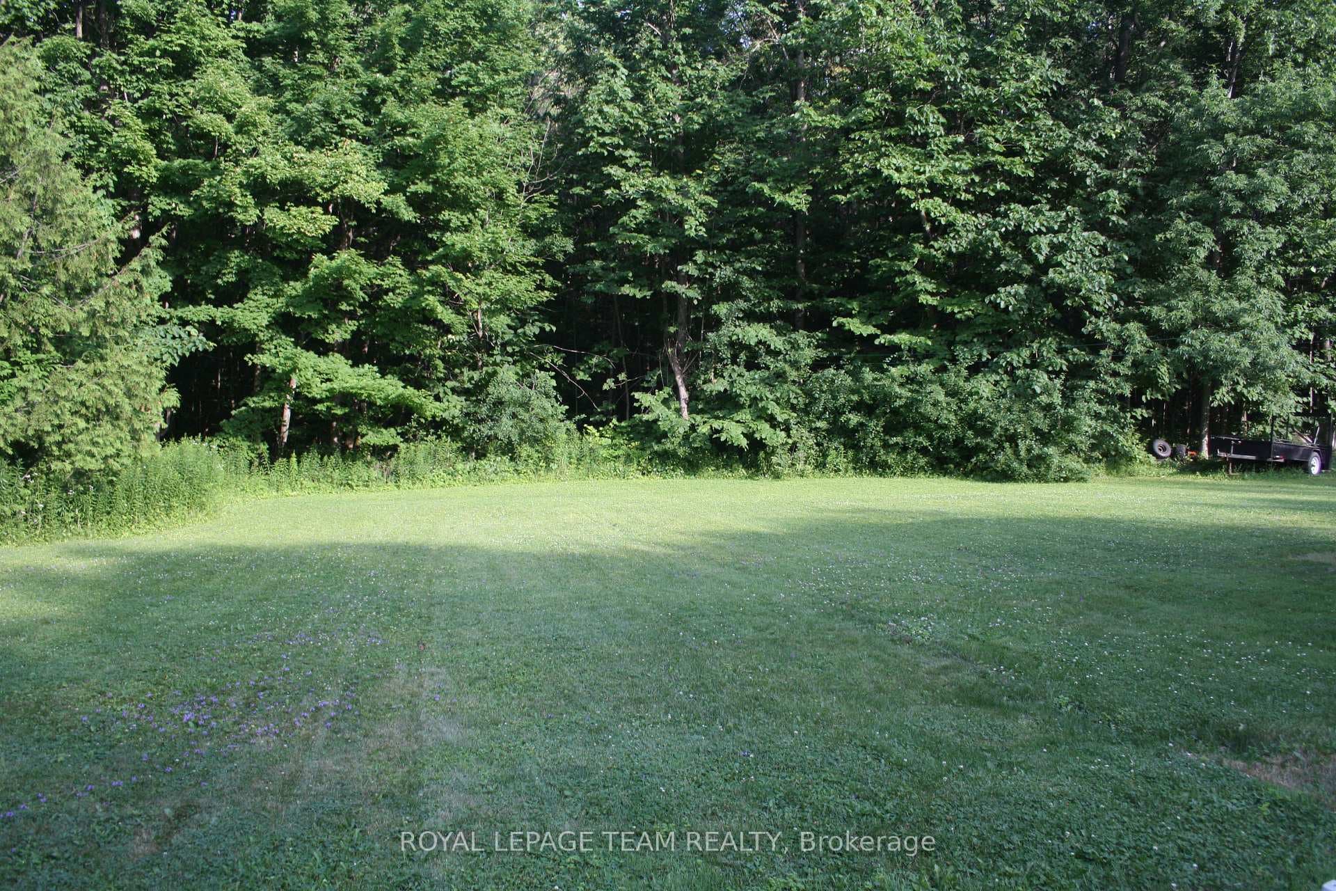 27 Jennifer Lane photo 29