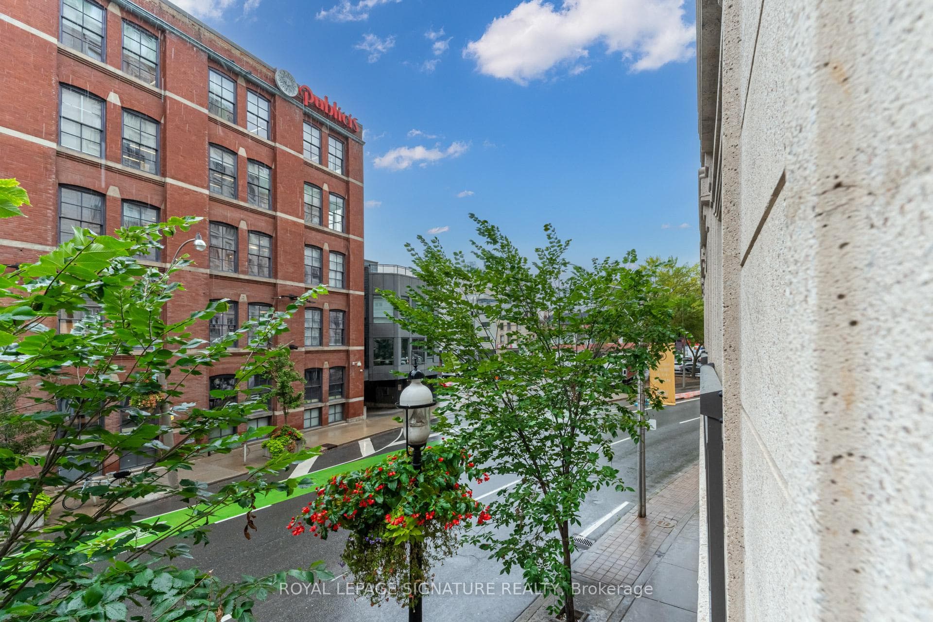 115 Richmond Street Unit 204 photo 13