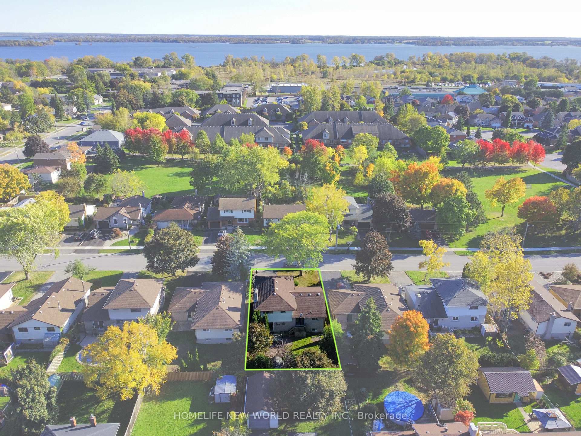 64 Brimley Court photo 2