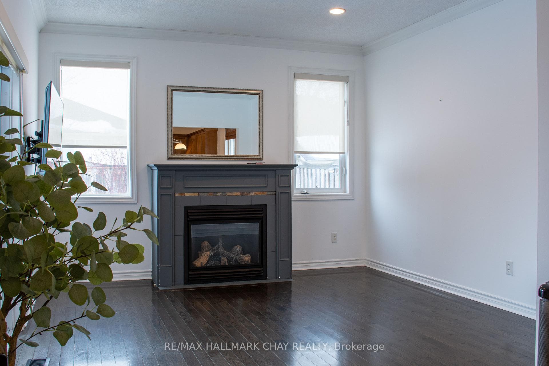 Living fireplace