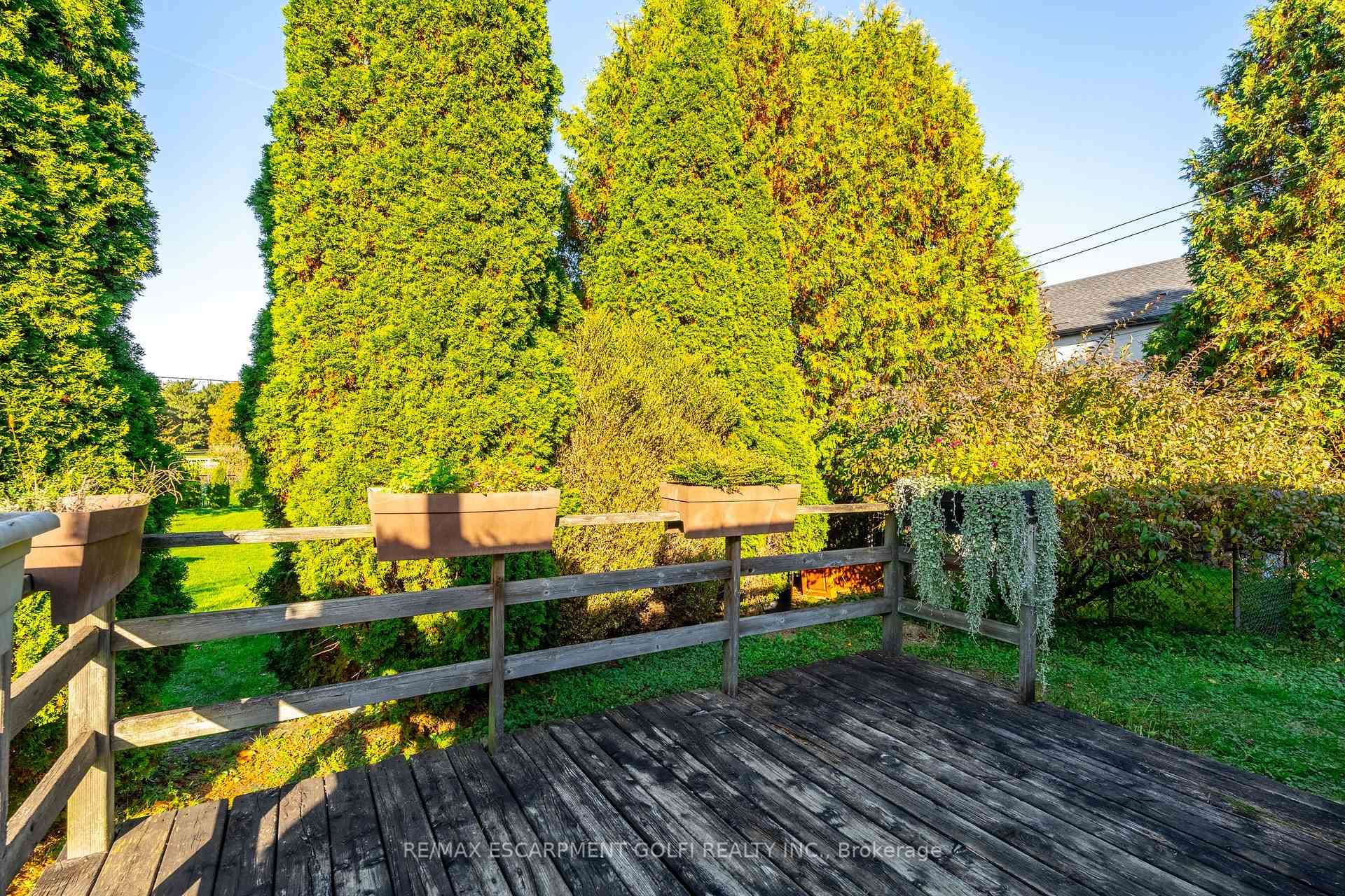 62 Melbourne Street photo 30