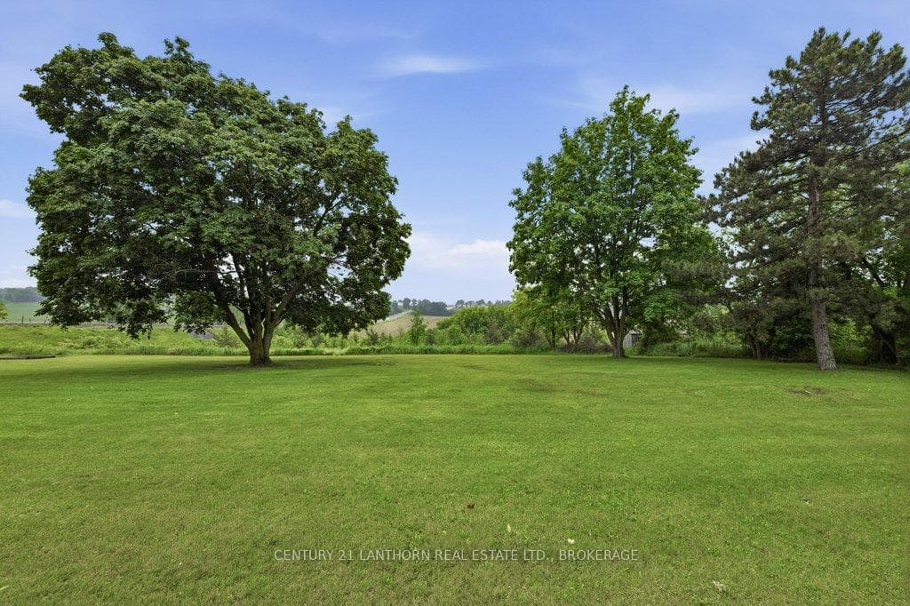 942 County 1 Road photo 43