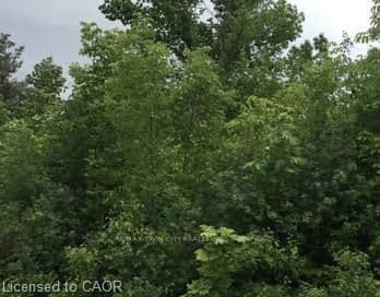 477 ARPIN Street photo 4
