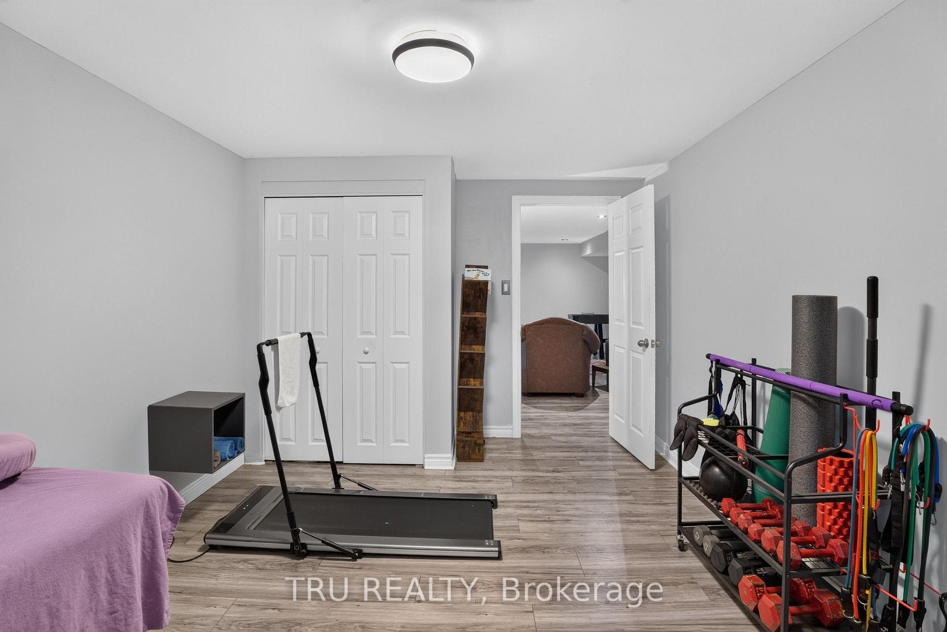 Basement Flex Room