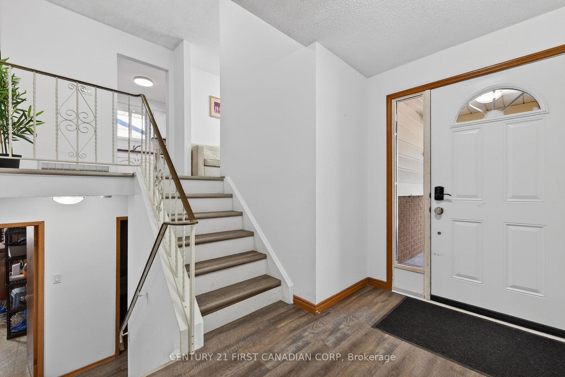 320 Blue Forest Drive photo 5