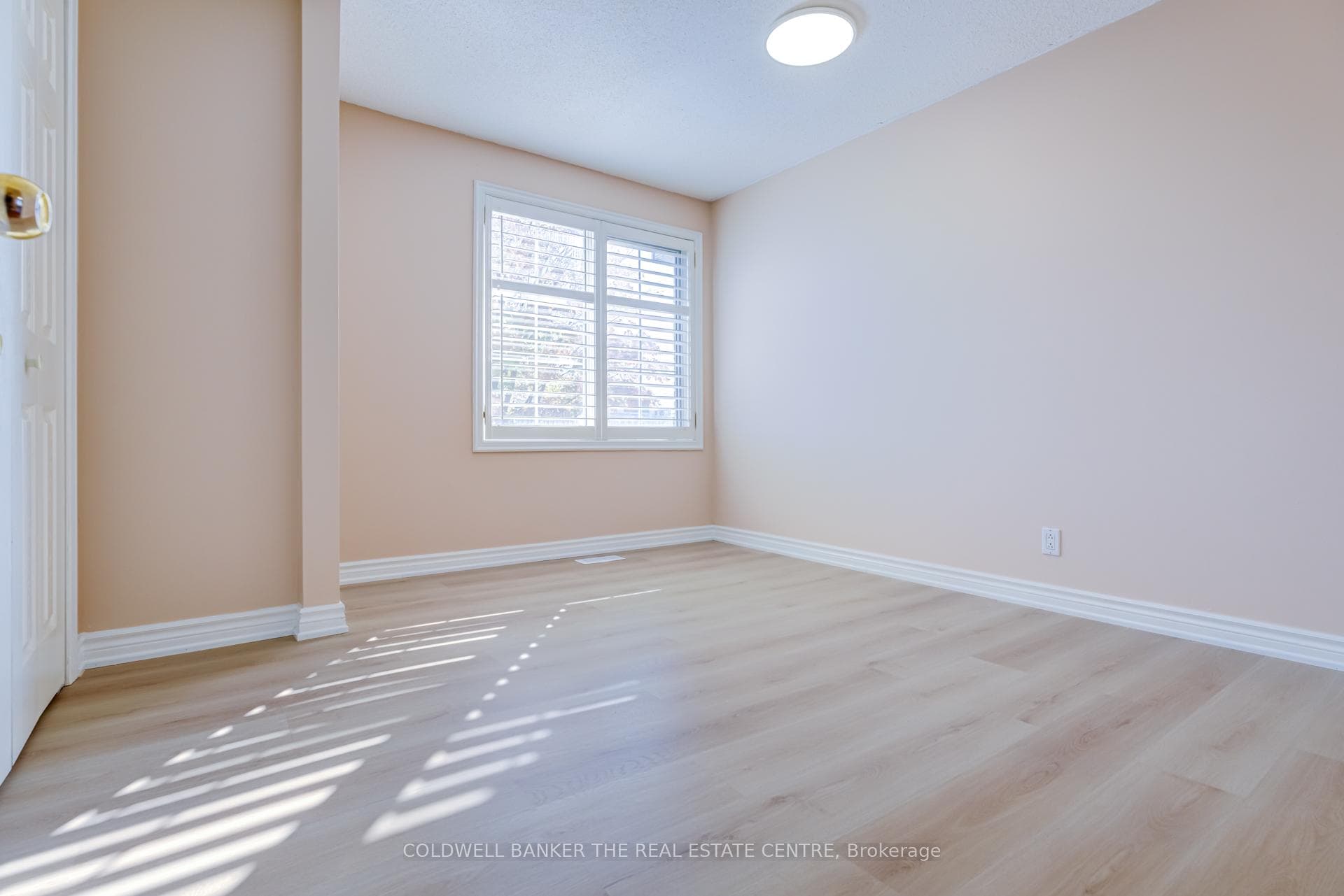 210 Jacey Ann Drive photo 12