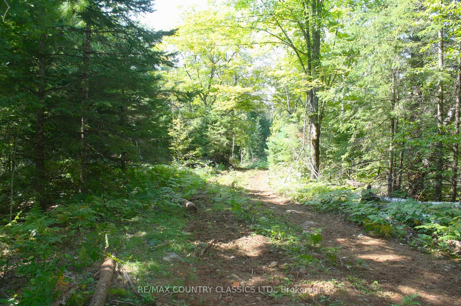 101 Goat Lane photo 1