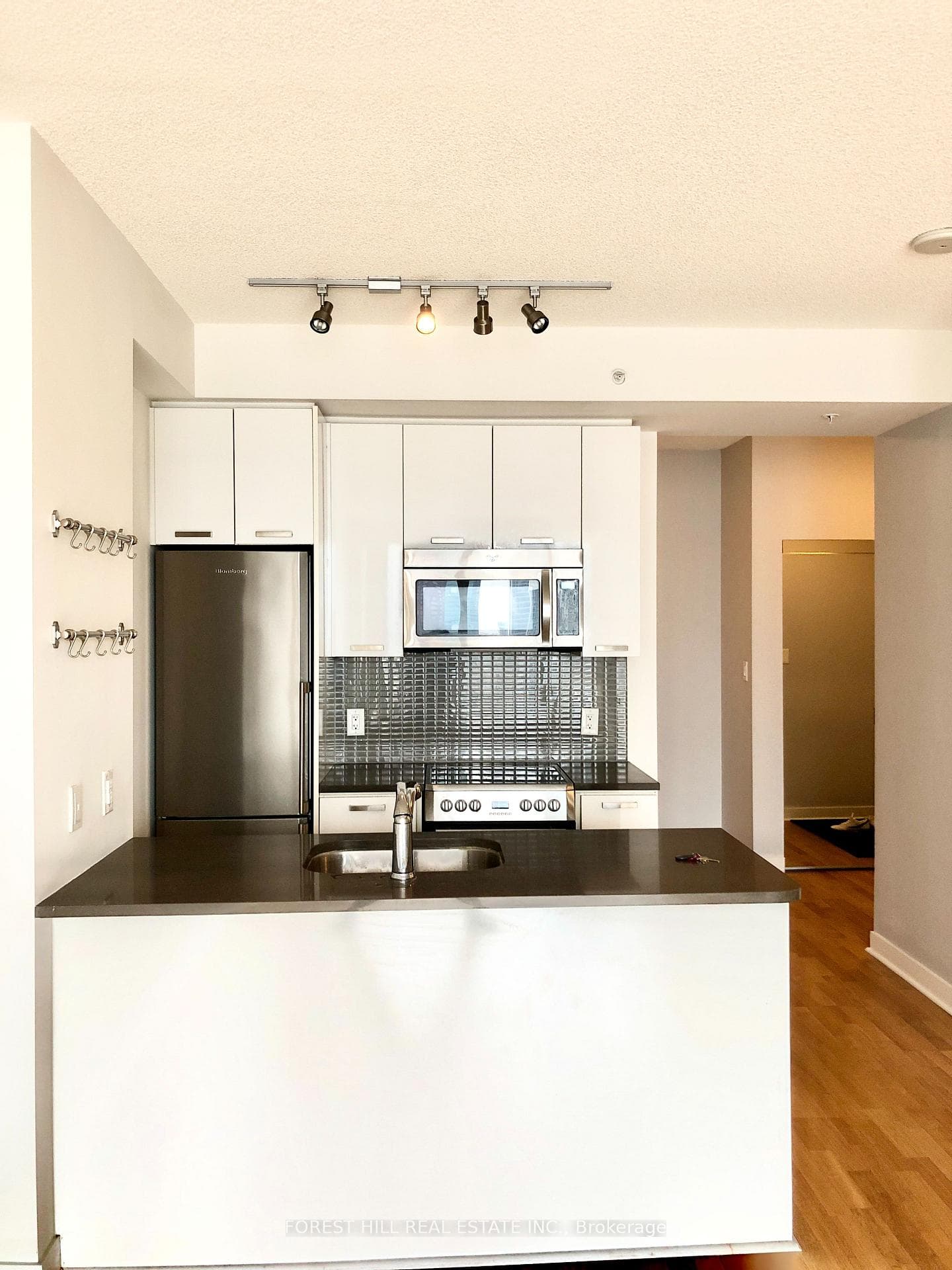 295 Adelaide Street Unit 3405 photo 5