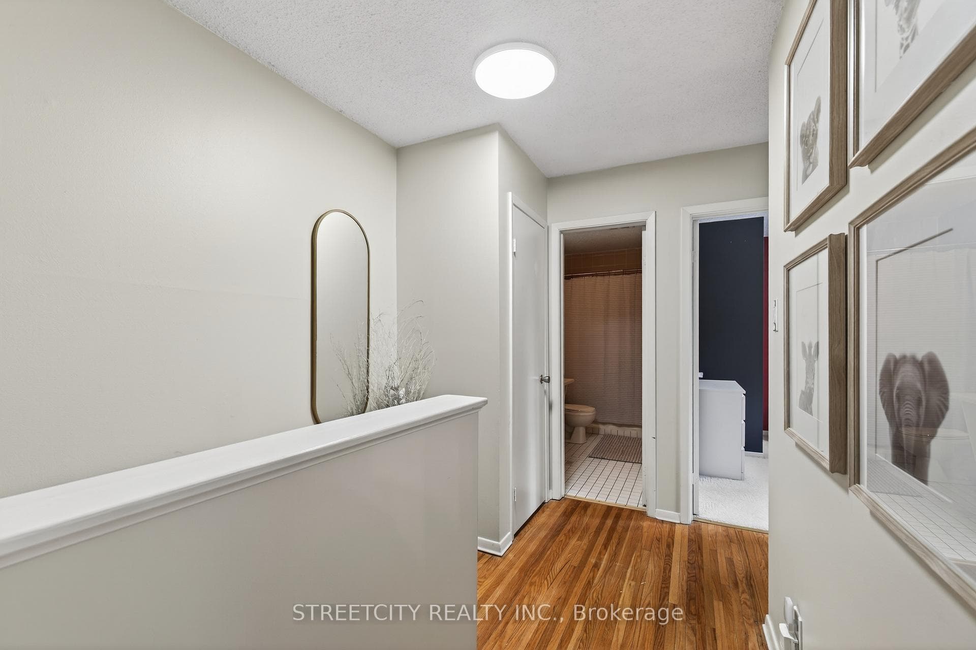 282 HOMESTEAD Crescent photo 17