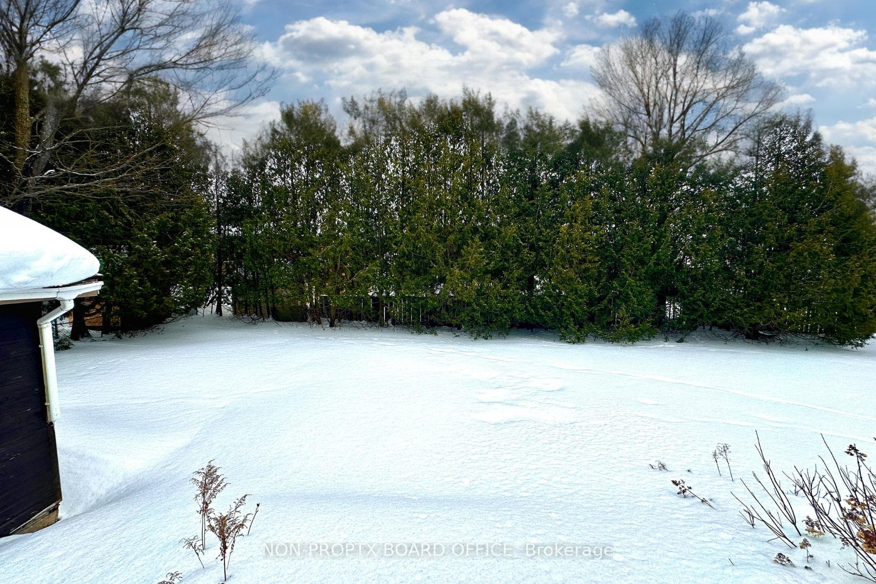 241 Mcnaughton Avenue photo 36