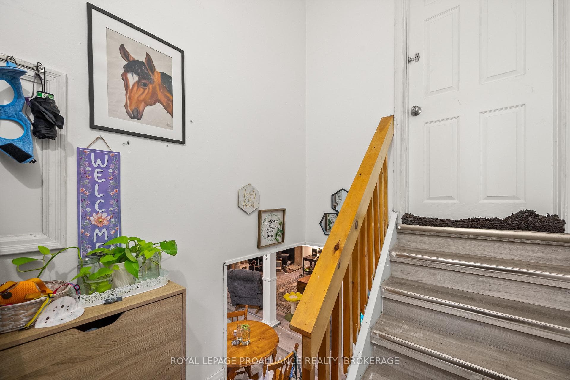 260 Elmwood Street photo 30