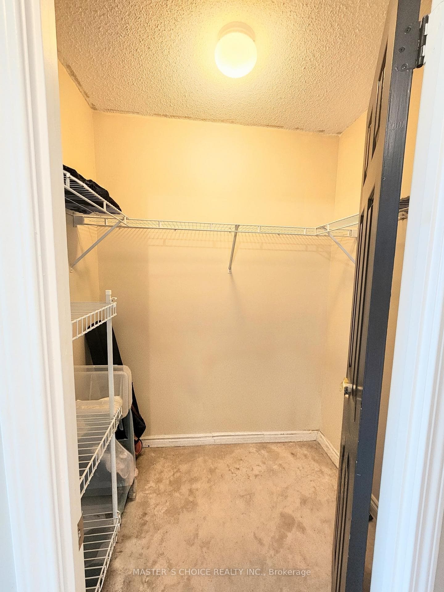 18 Spring Garden Avenue Unit 2805 photo 30