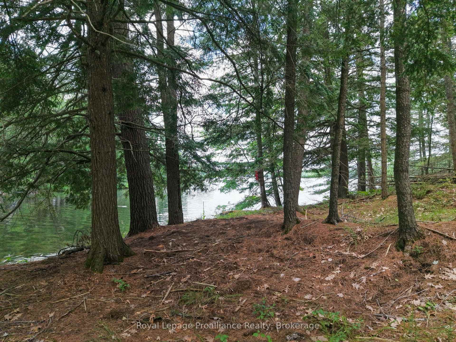 1 WAO Kasshabog Lake N/A photo 29