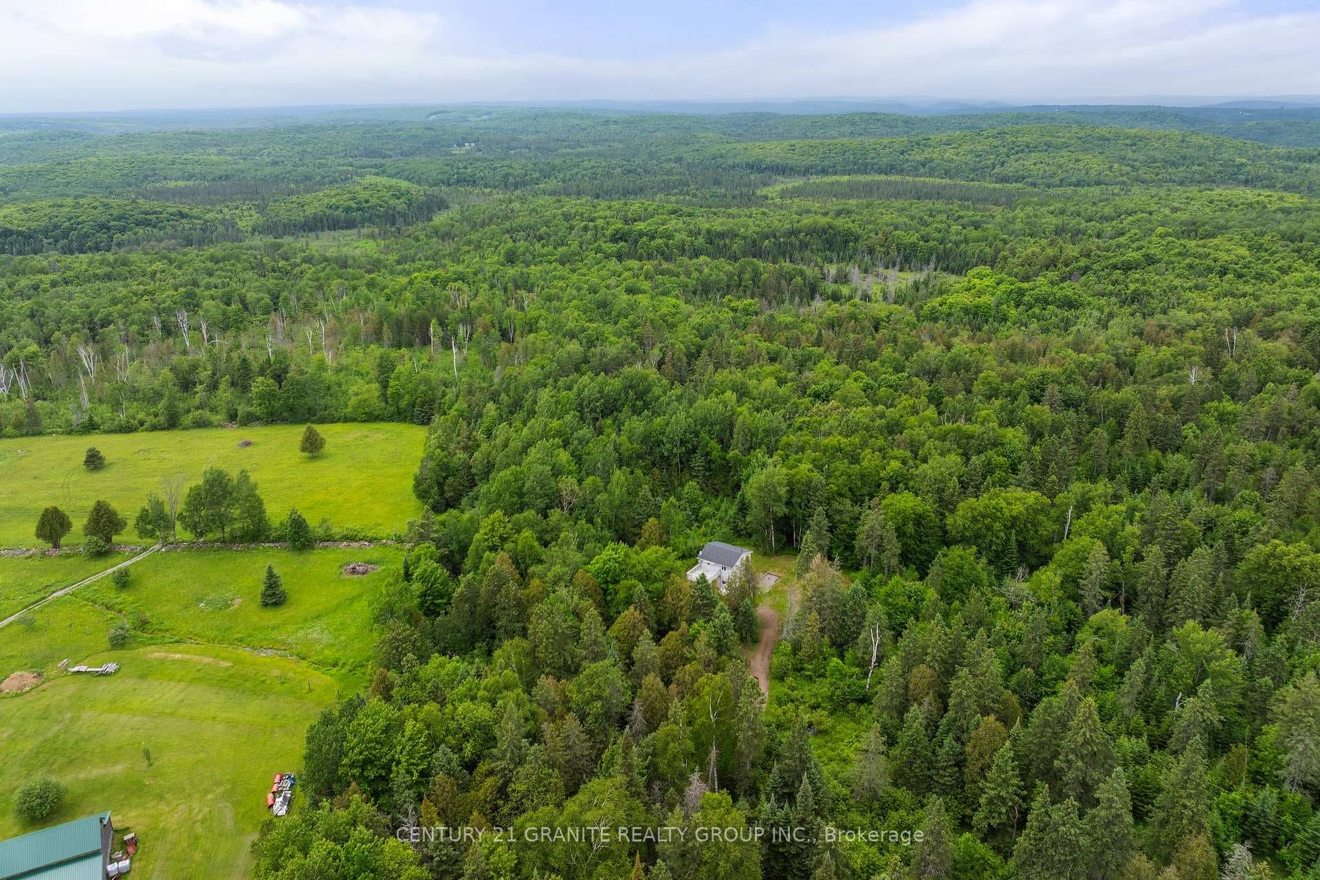 1217 Hybla Road photo 24
