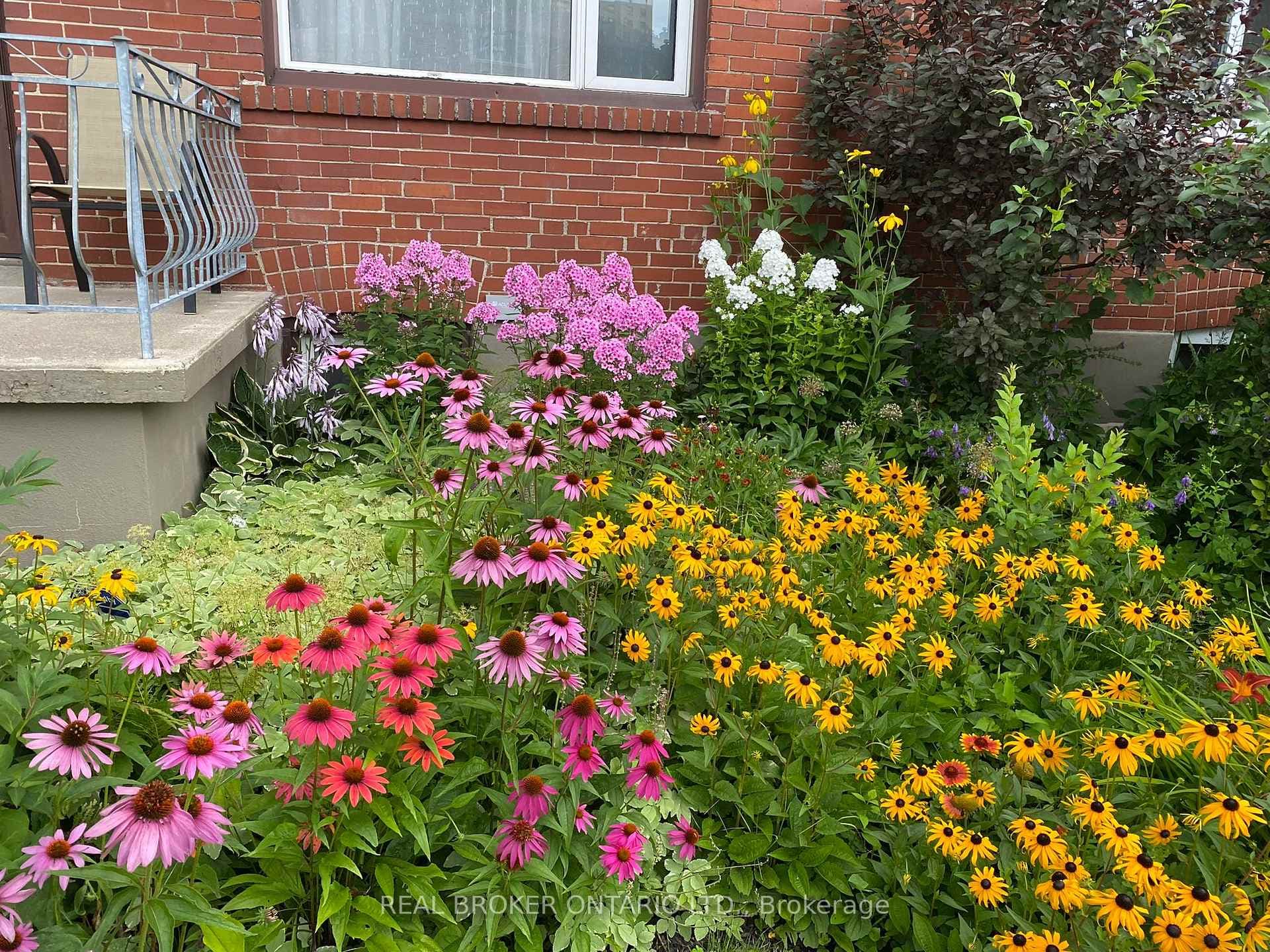 Front Gardens in Summer