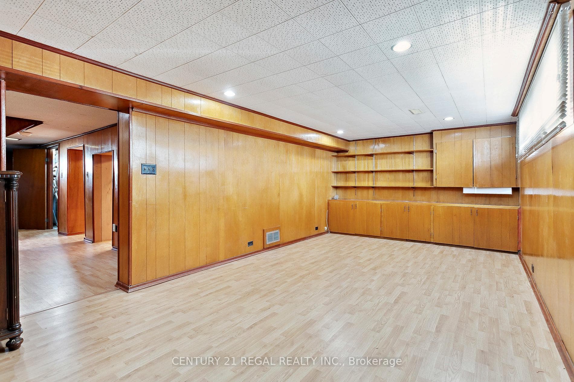 Basement Living Room
