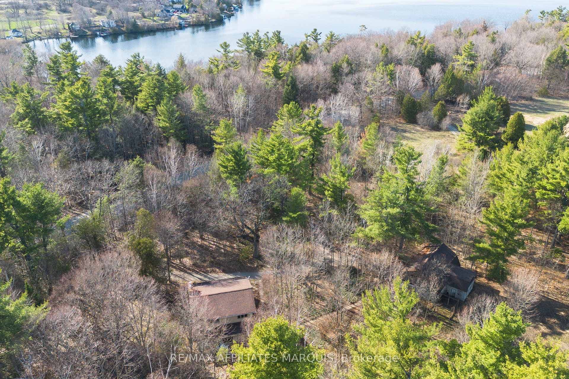 239 Bay Road photo 46