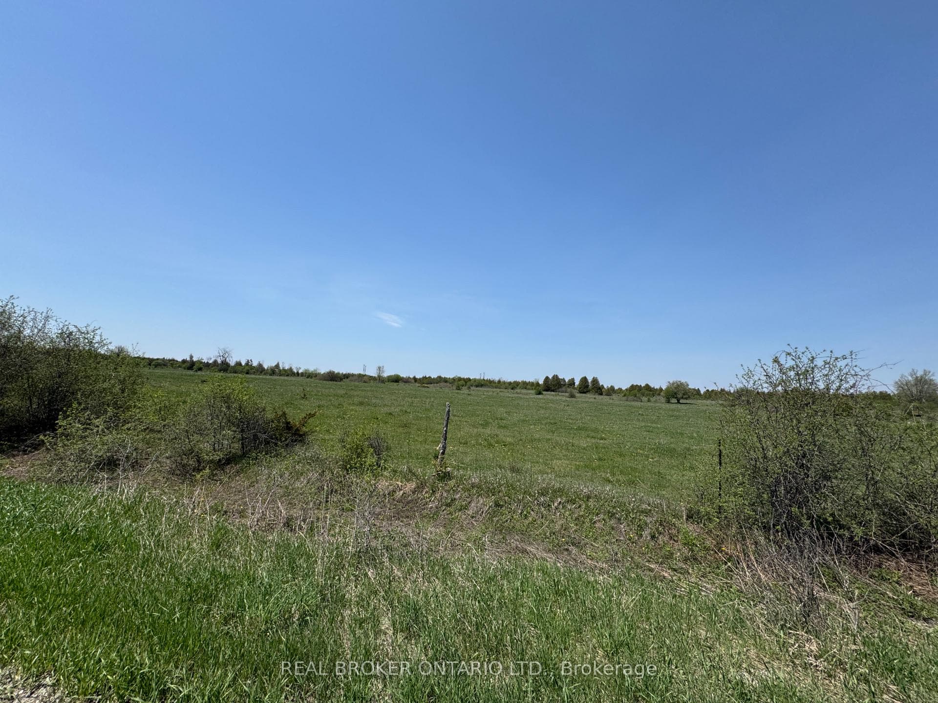 00 WILLIAM CAMPBELL Road photo 3