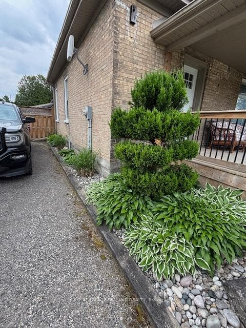 118 Scott Street photo 6