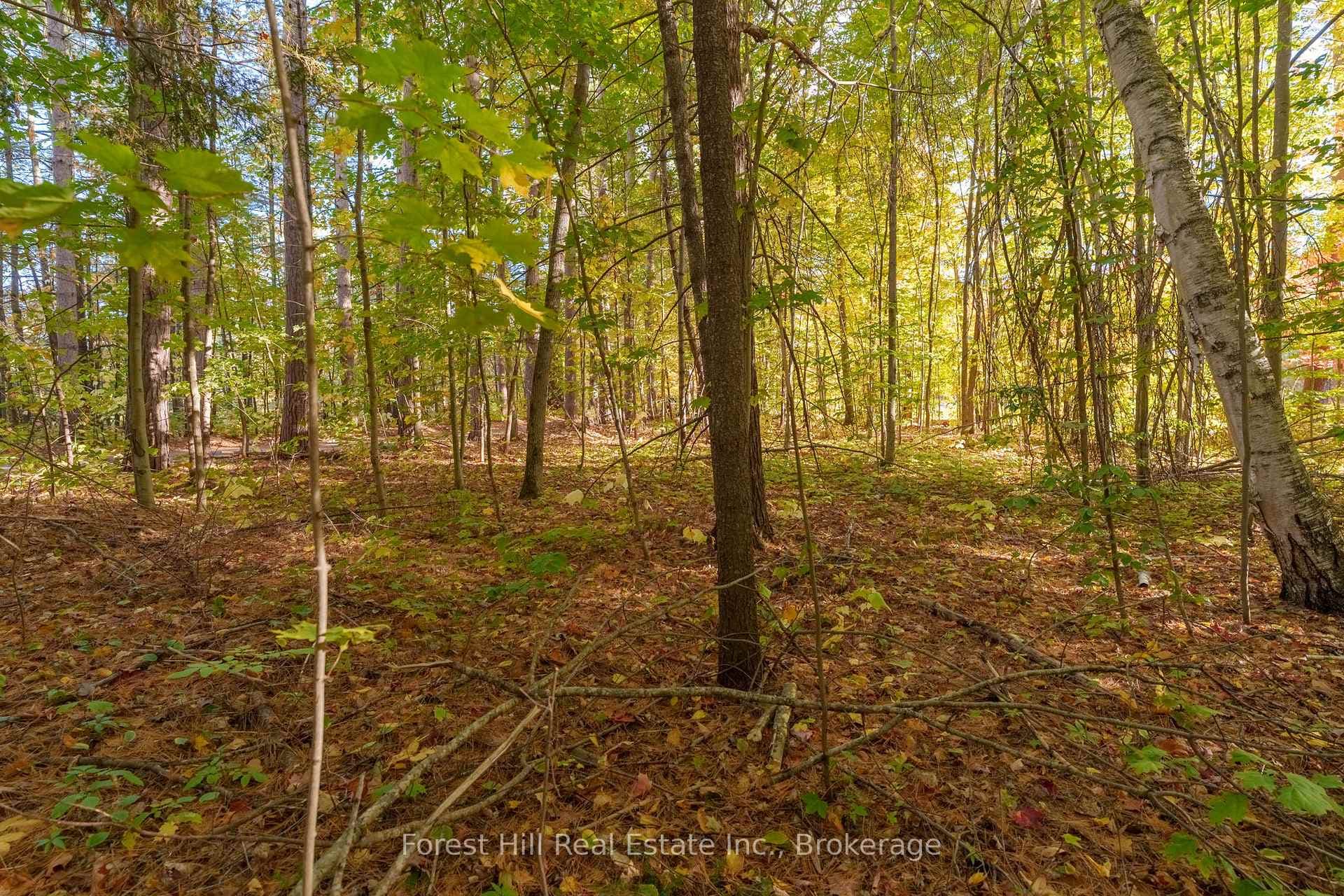 3864 Highway 118 N/A photo 32