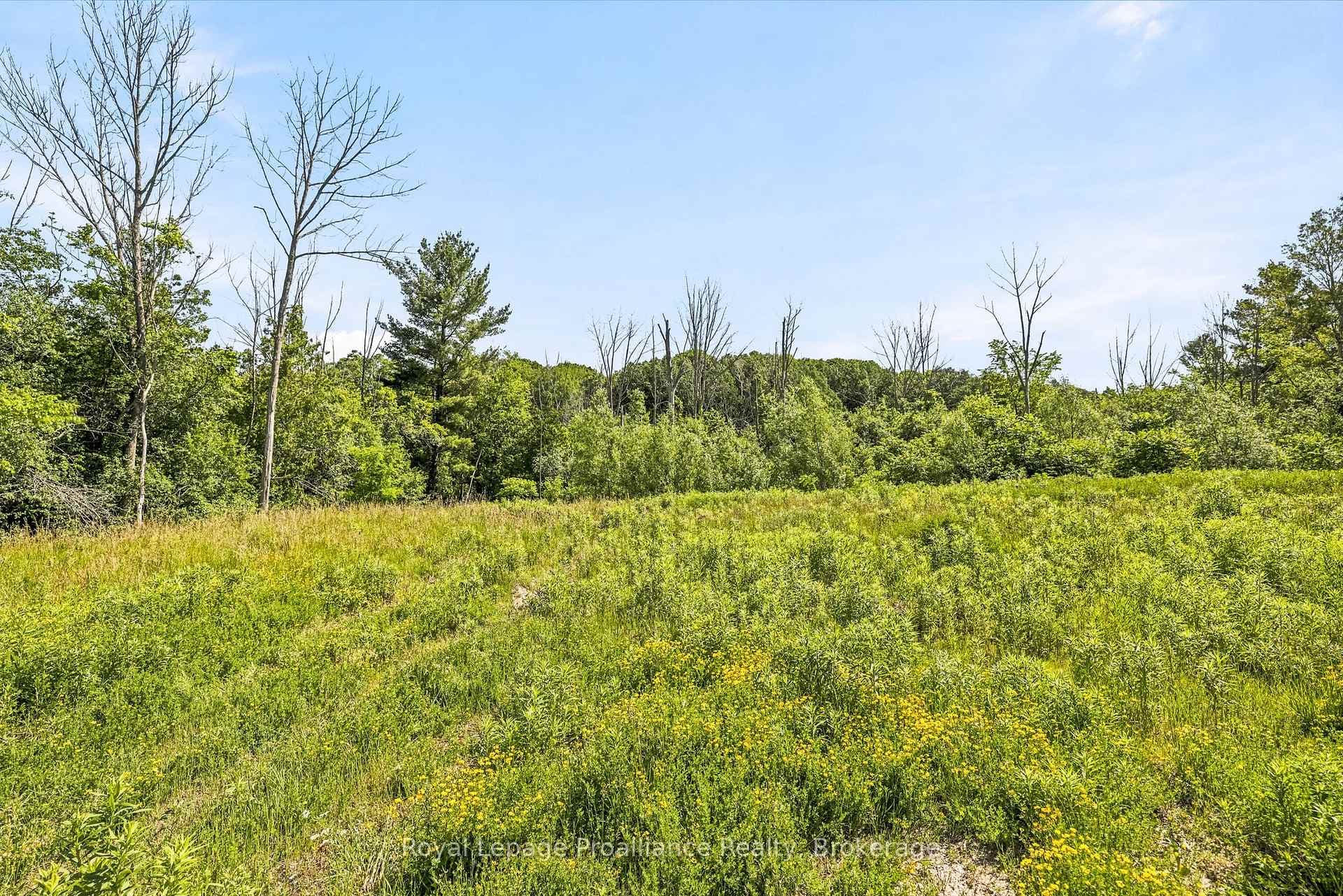 00 Bickle Hill Road photo 29