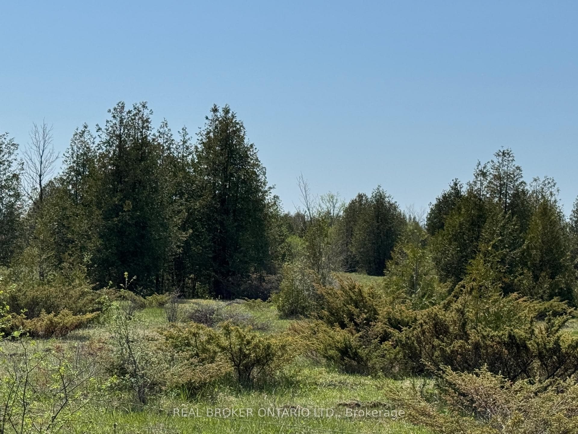 00 WILLIAM CAMPBELL Road photo 8